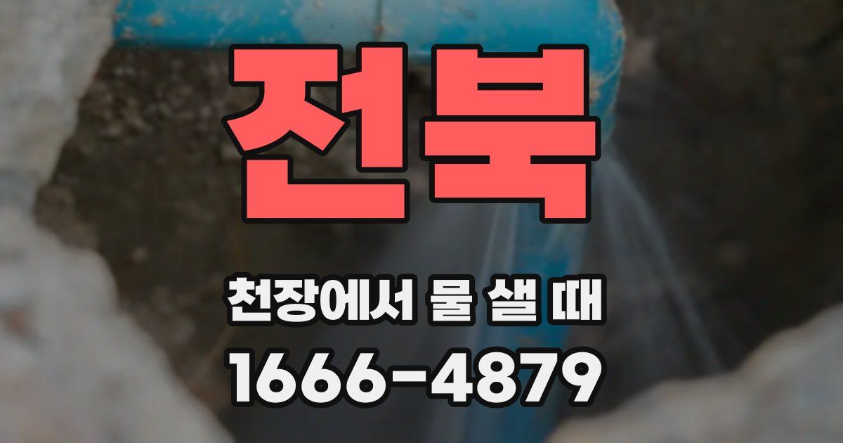 전북 천장에서 물 샐 때