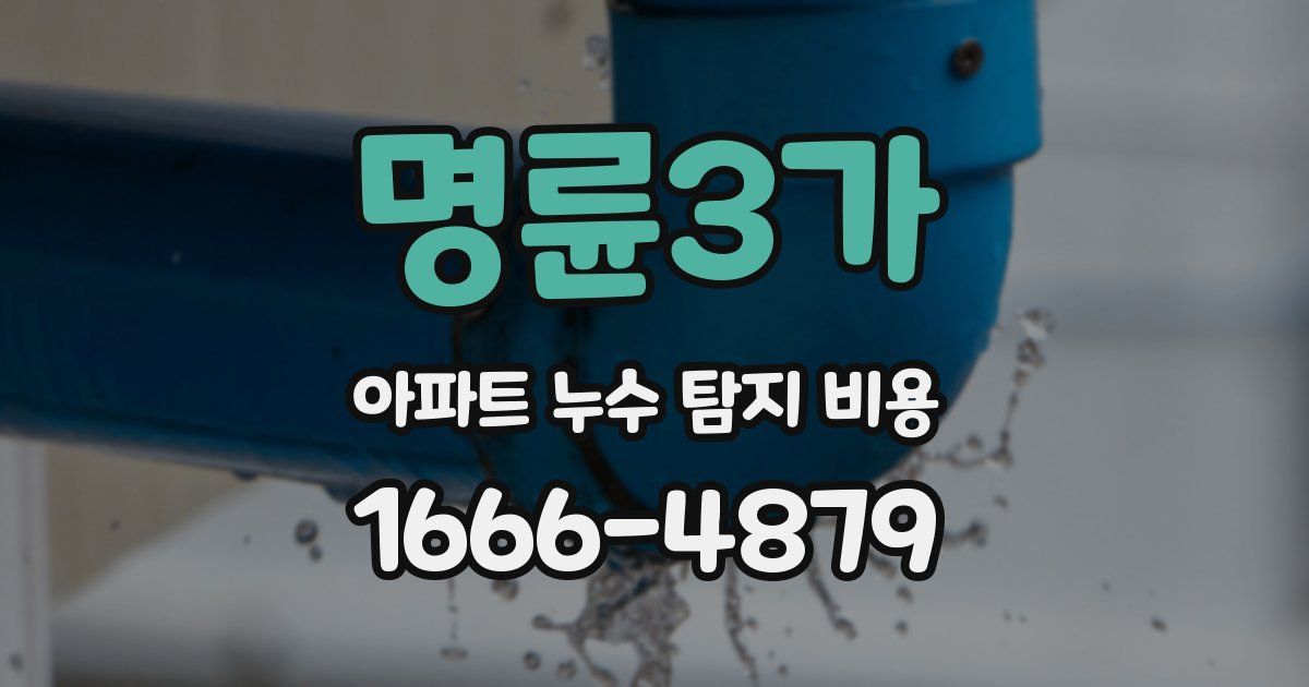 명륜3가 아파트 누수 탐지 비용