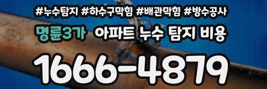 명륜3가 아파트 누수 탐지 비용
