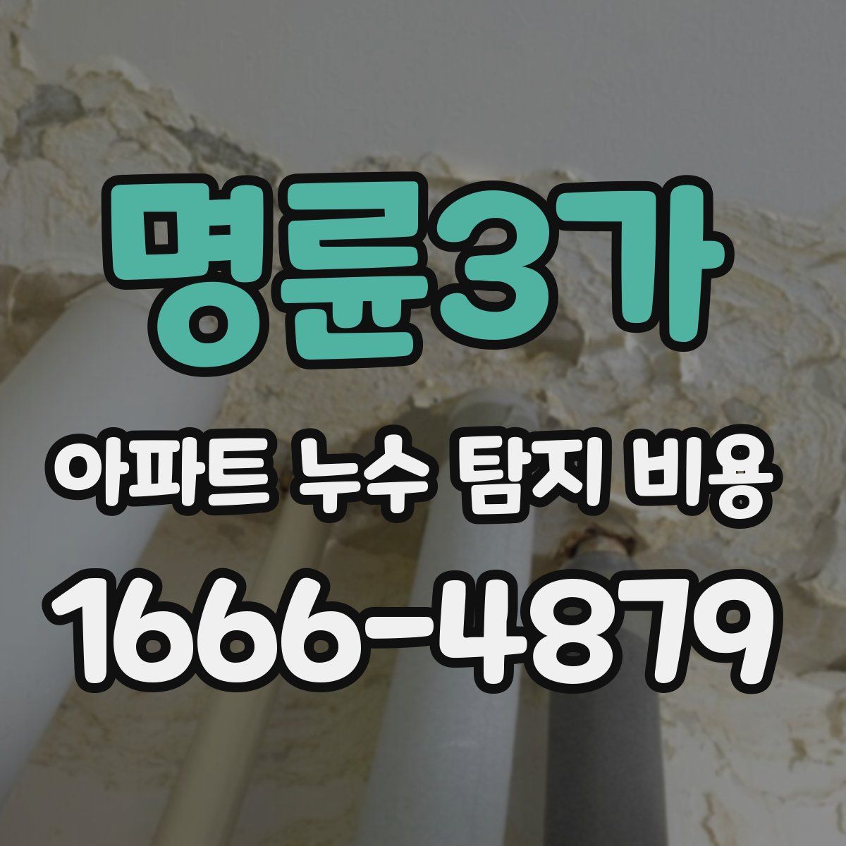 명륜3가 아파트 누수 탐지 비용