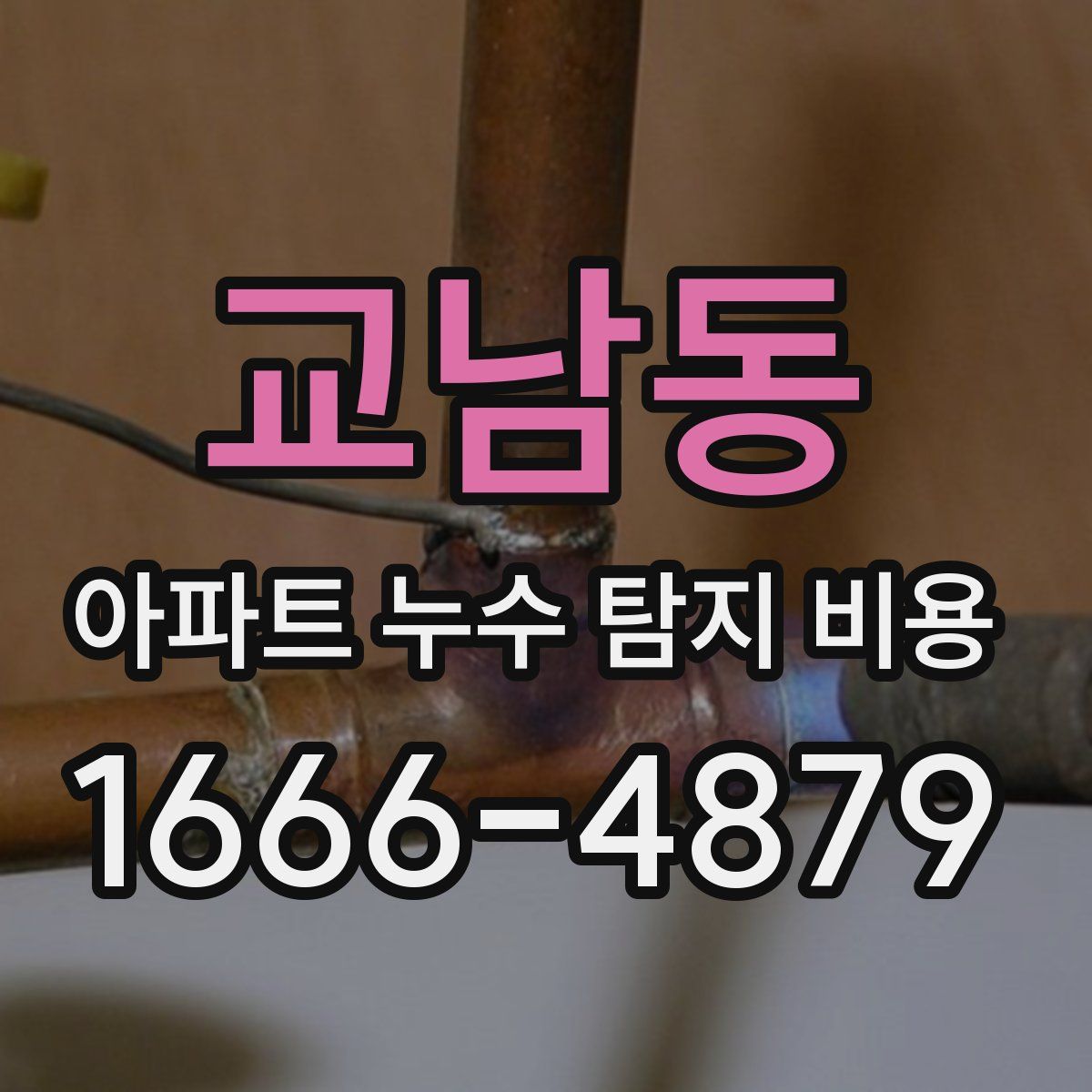 교남동 아파트 누수 탐지 비용