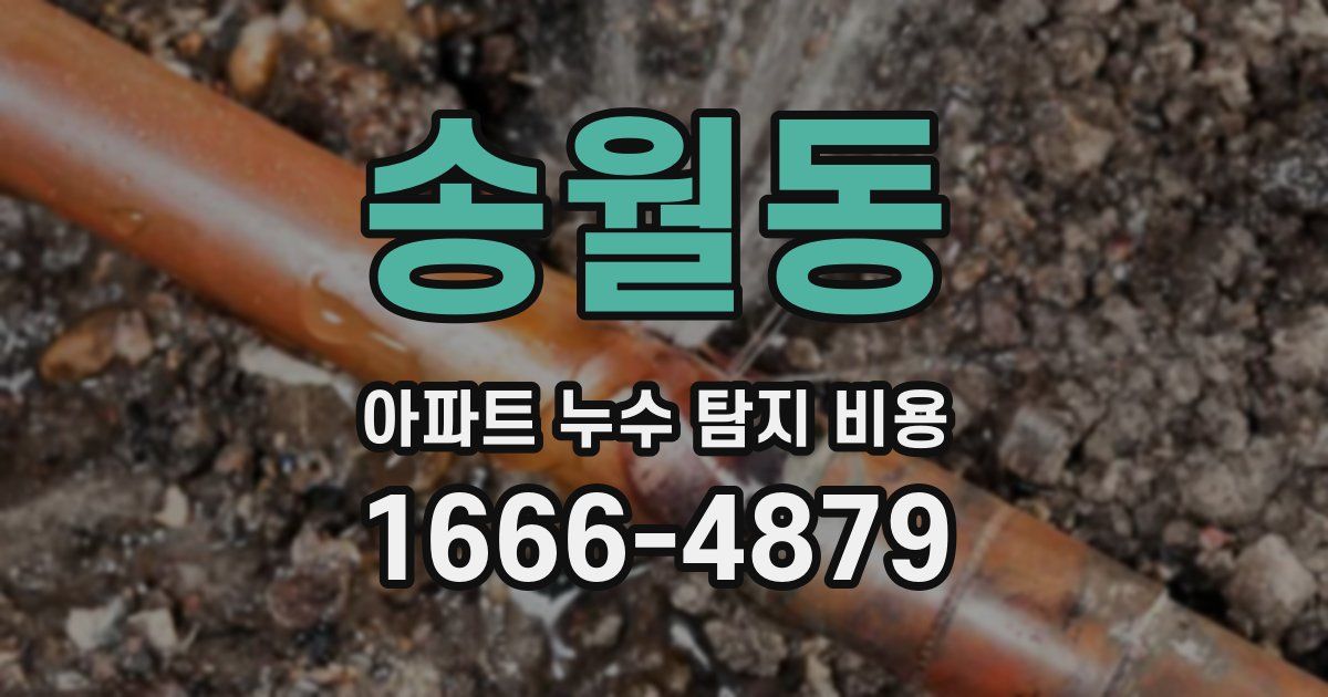 송월동 아파트 누수 탐지 비용