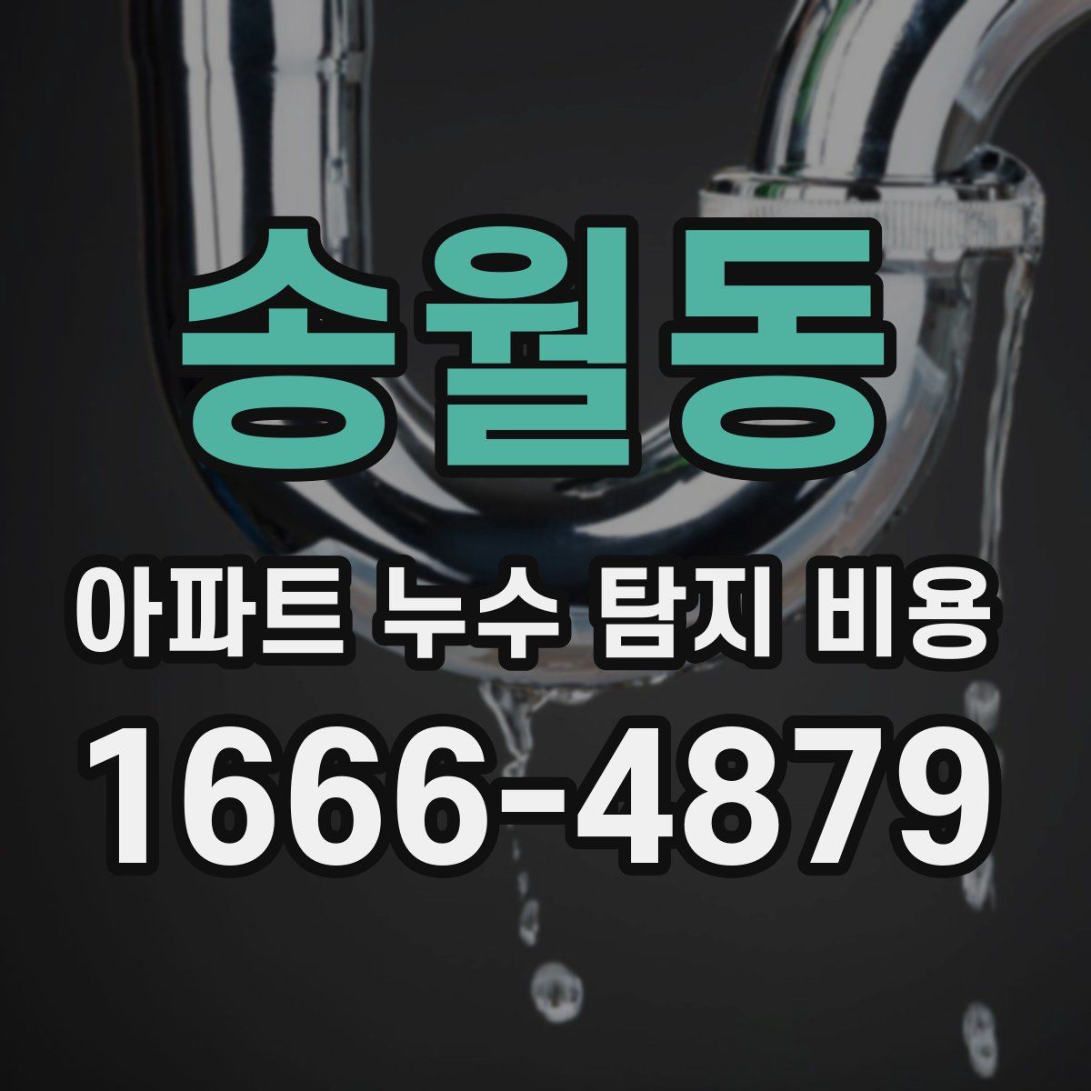 송월동 아파트 누수 탐지 비용