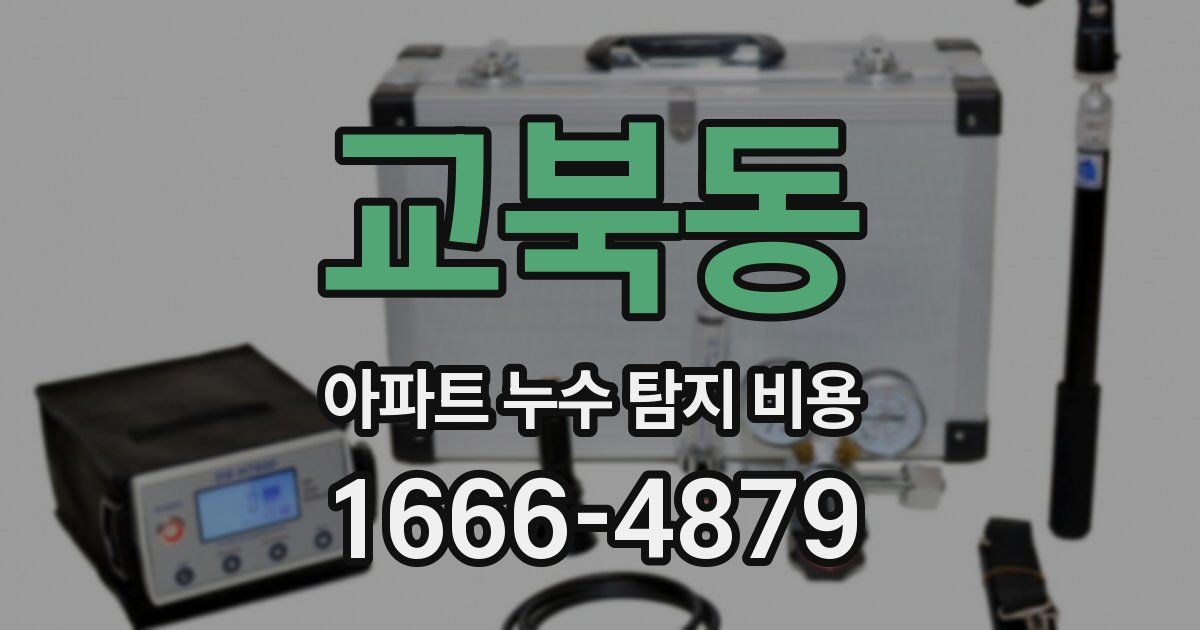 교북동 아파트 누수 탐지 비용