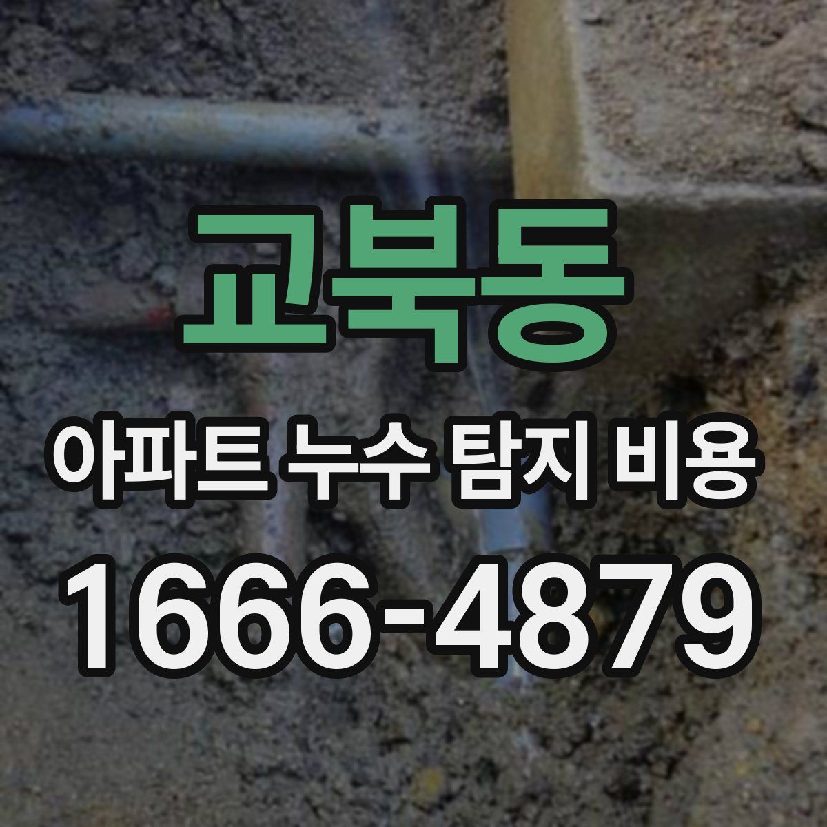 교북동 아파트 누수 탐지 비용
