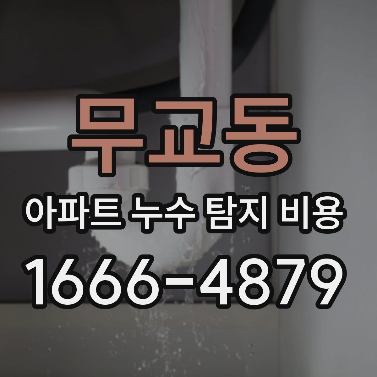 무교동 아파트 누수 탐지 비용