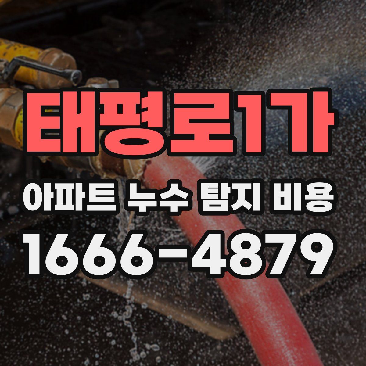 태평로1가 아파트 누수 탐지 비용