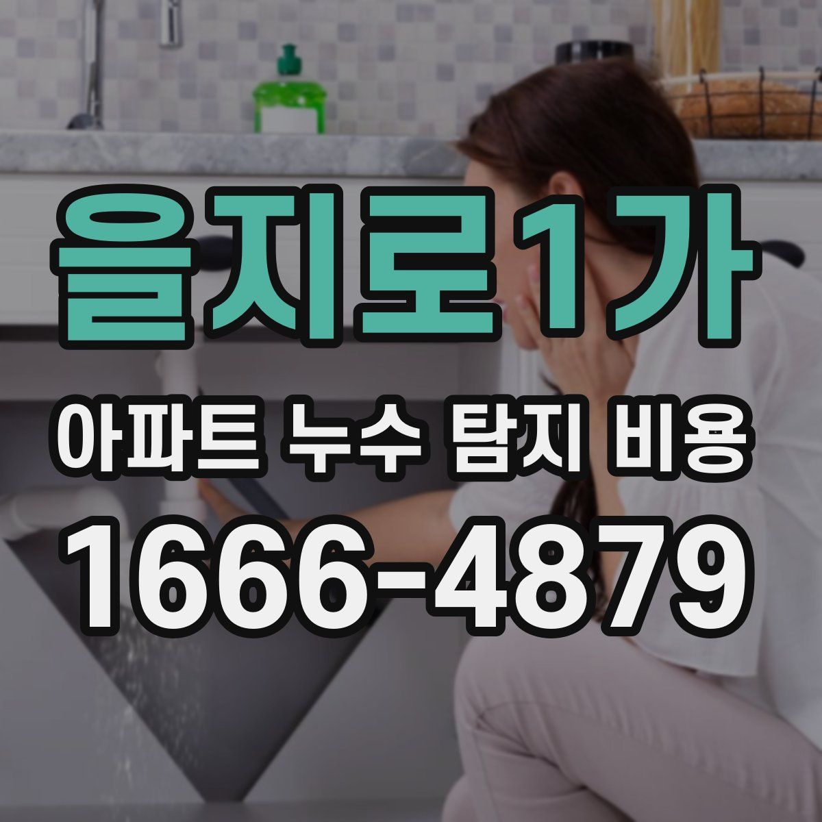 을지로1가 아파트 누수 탐지 비용