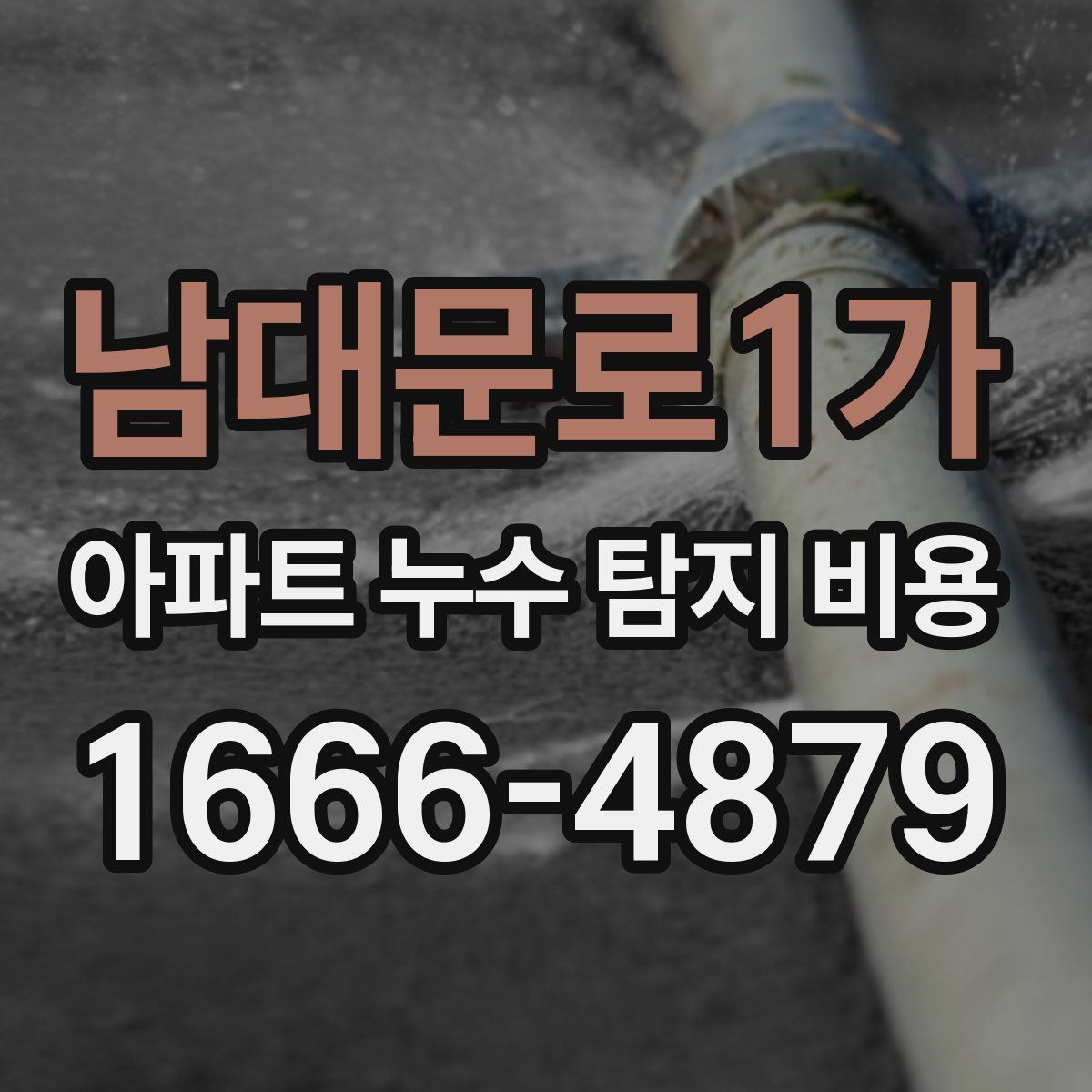 남대문로1가 아파트 누수 탐지 비용