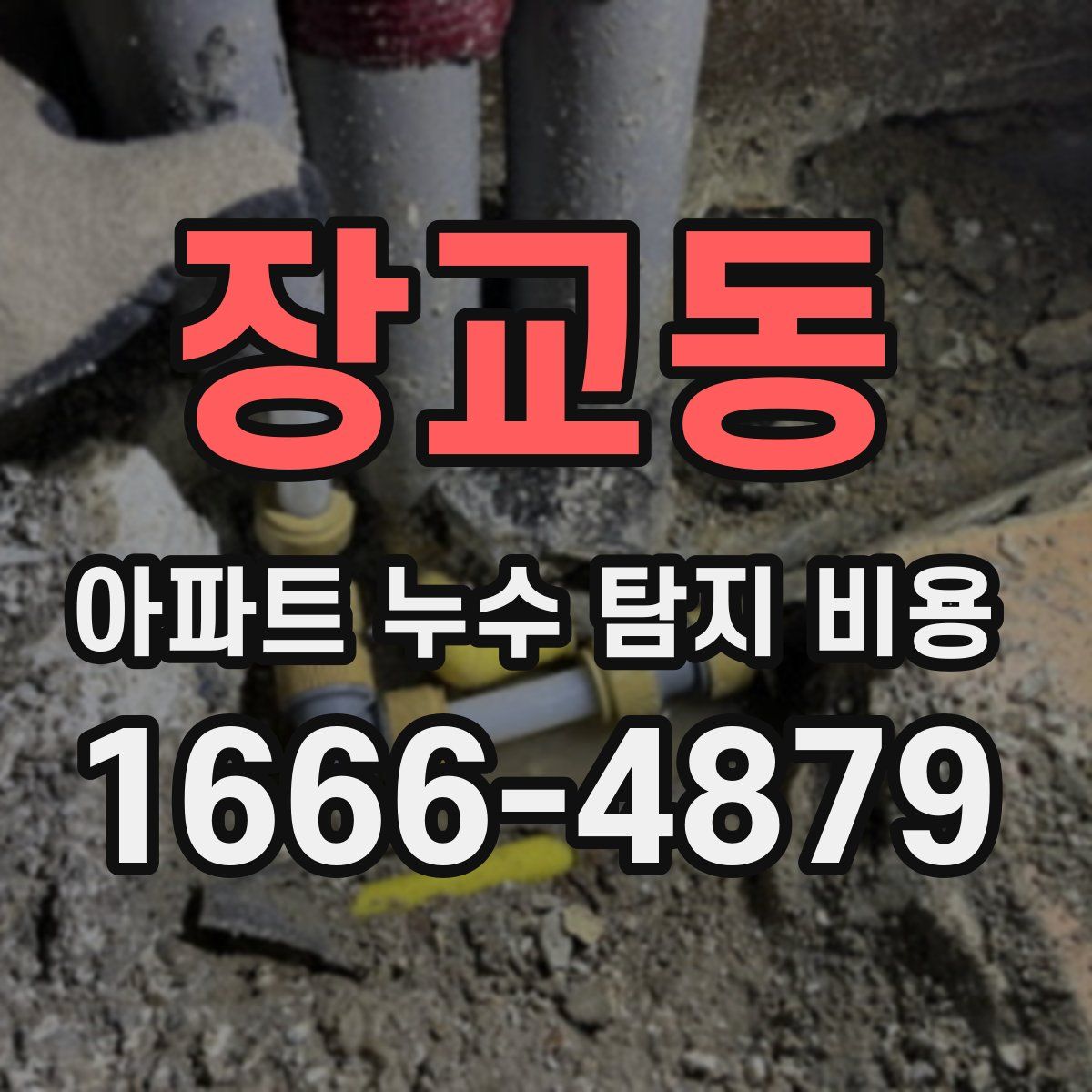장교동 아파트 누수 탐지 비용