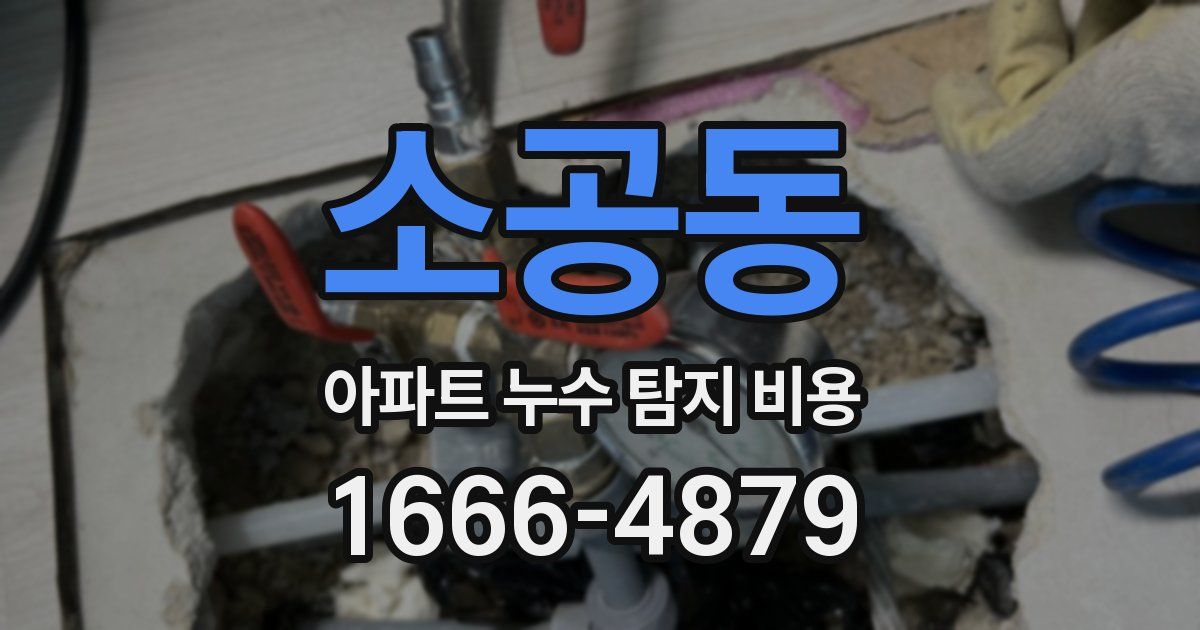 소공동 아파트 누수 탐지 비용