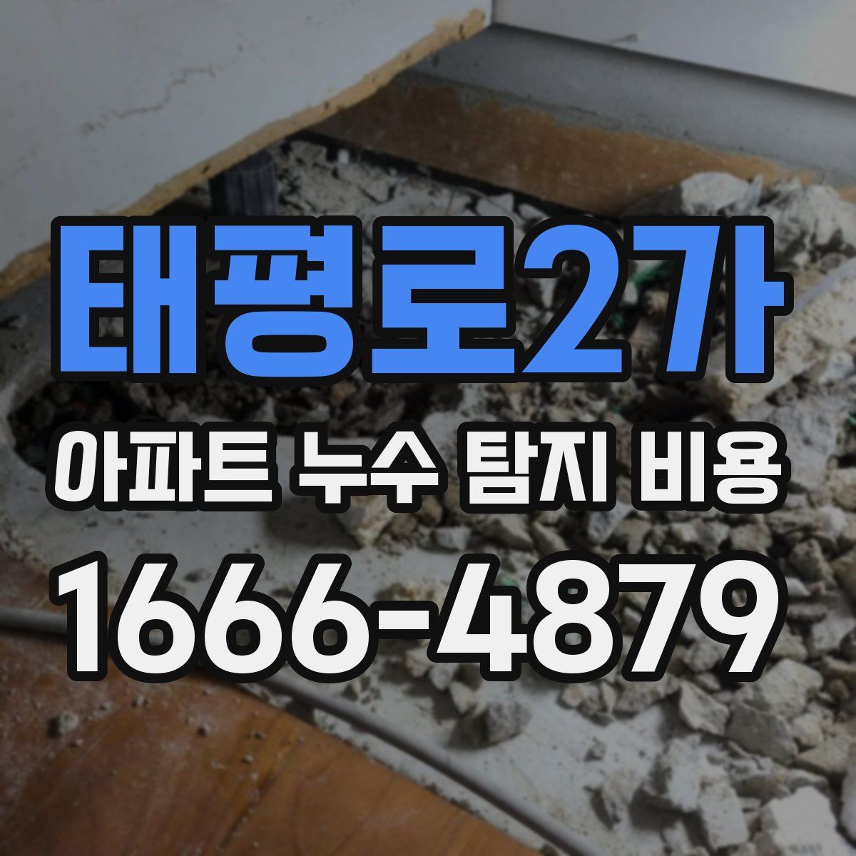 태평로2가 아파트 누수 탐지 비용