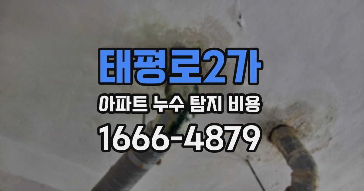태평로2가 아파트 누수 탐지 비용