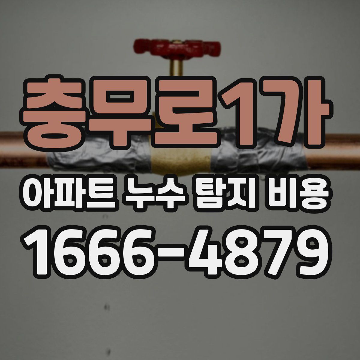 충무로1가 아파트 누수 탐지 비용