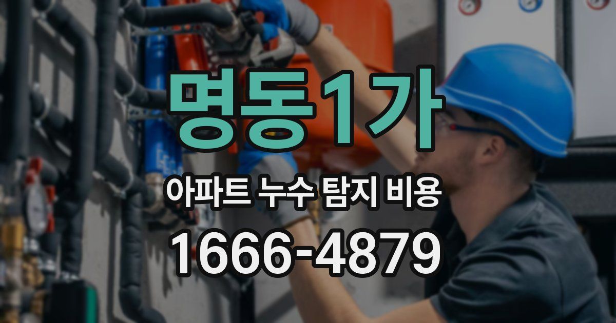 명동1가 아파트 누수 탐지 비용