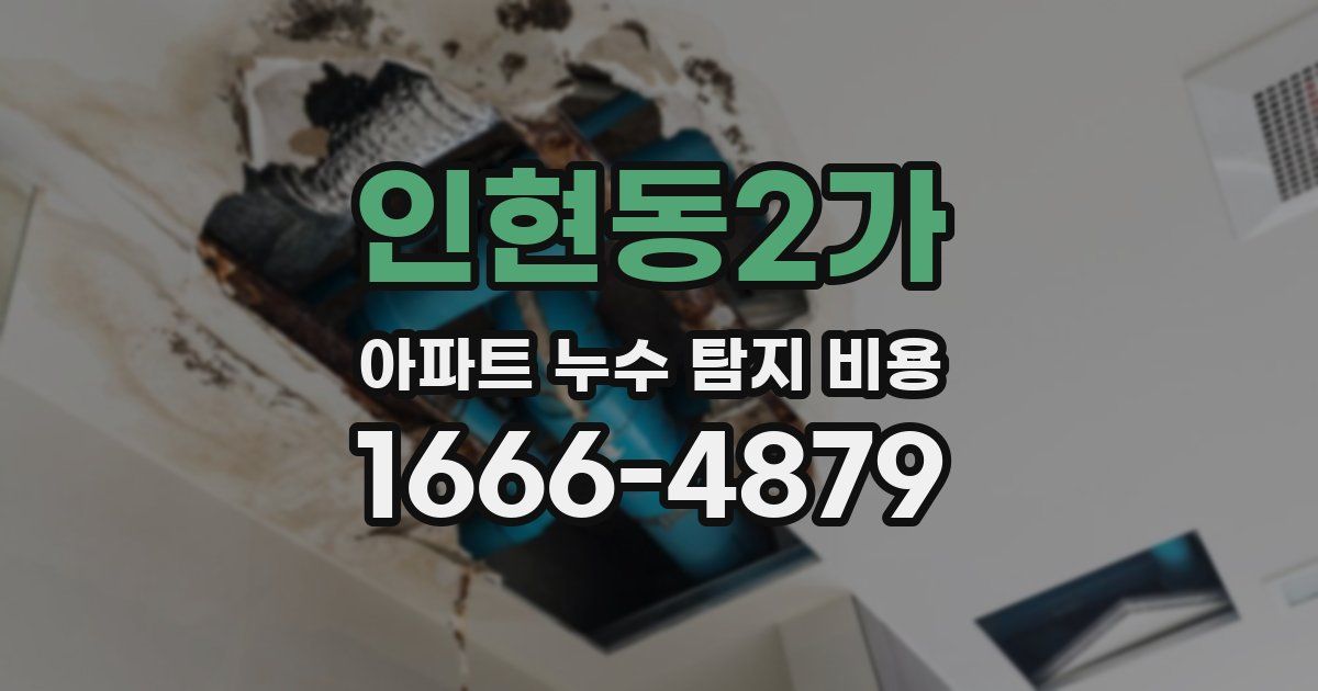 인현동2가 아파트 누수 탐지 비용