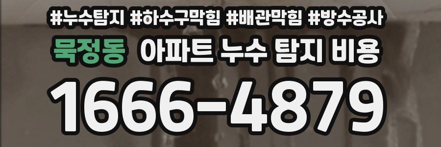 묵정동 아파트 누수 탐지 비용