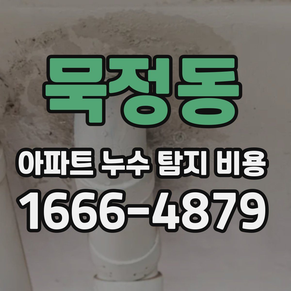 묵정동 아파트 누수 탐지 비용