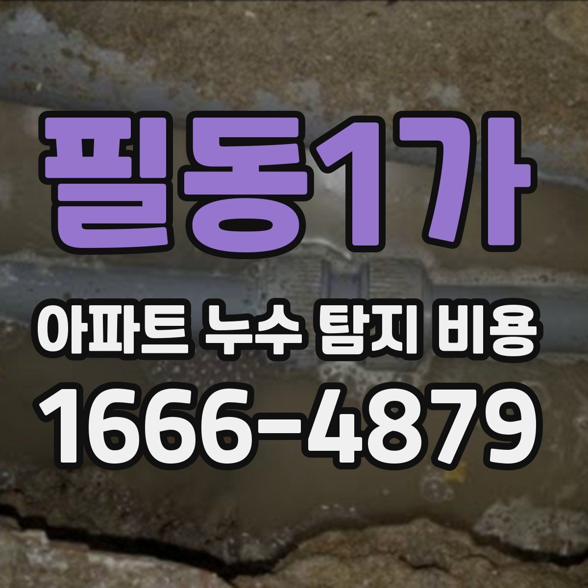 필동1가 아파트 누수 탐지 비용
