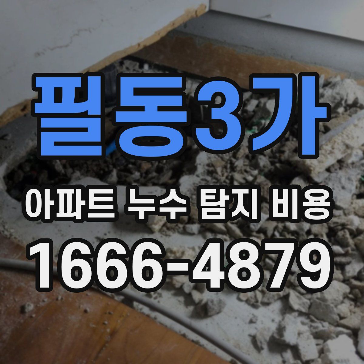 필동3가 아파트 누수 탐지 비용