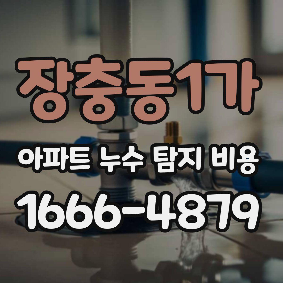 장충동1가 아파트 누수 탐지 비용