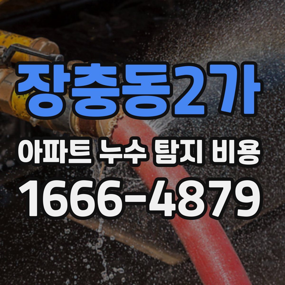 장충동2가 아파트 누수 탐지 비용