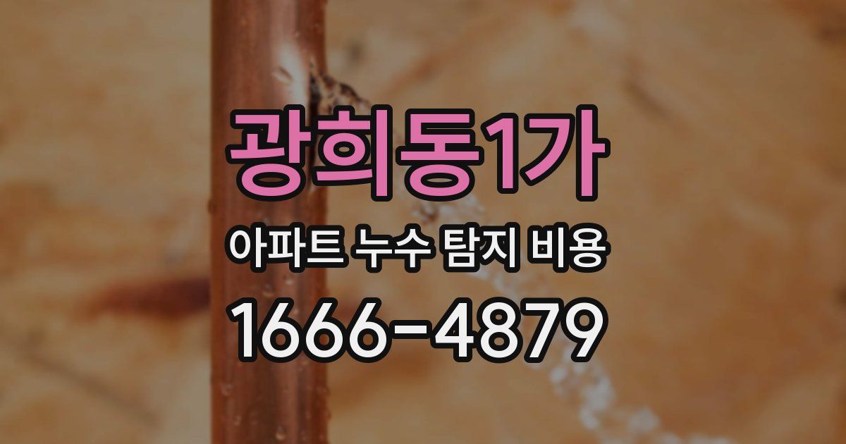 광희동1가 아파트 누수 탐지 비용
