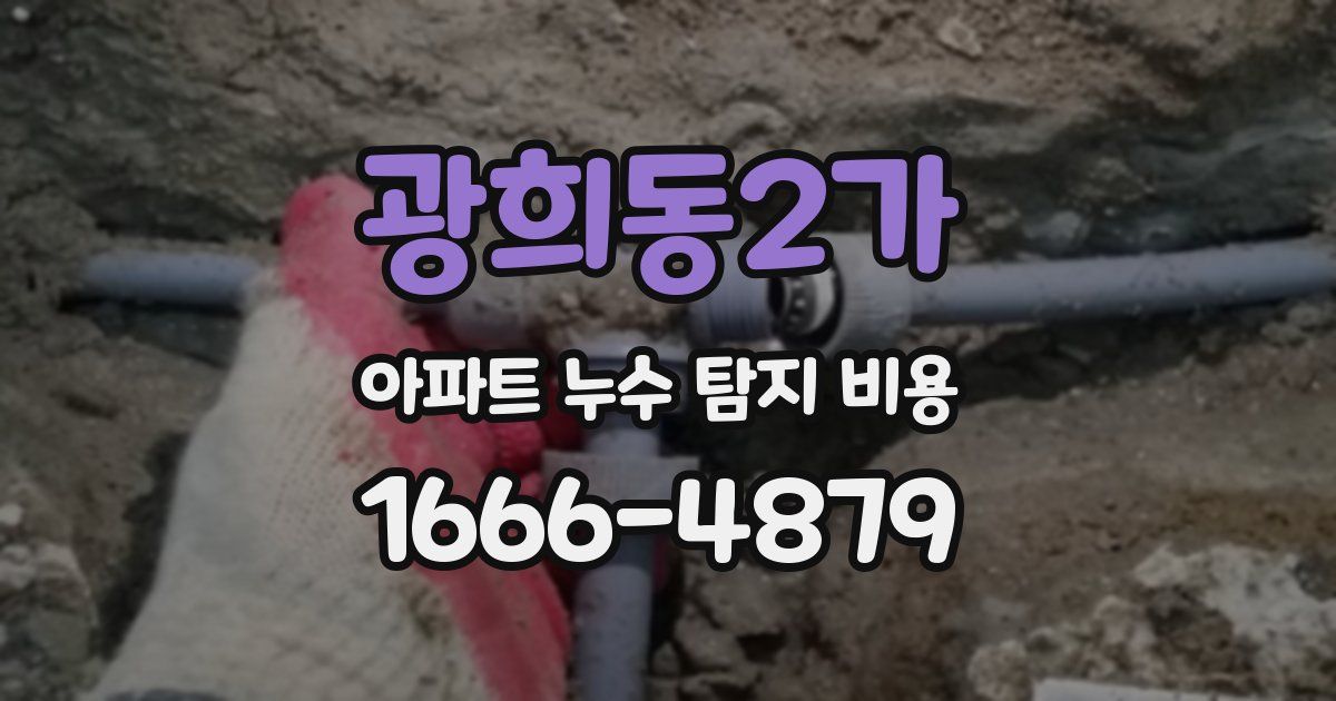 광희동2가 아파트 누수 탐지 비용