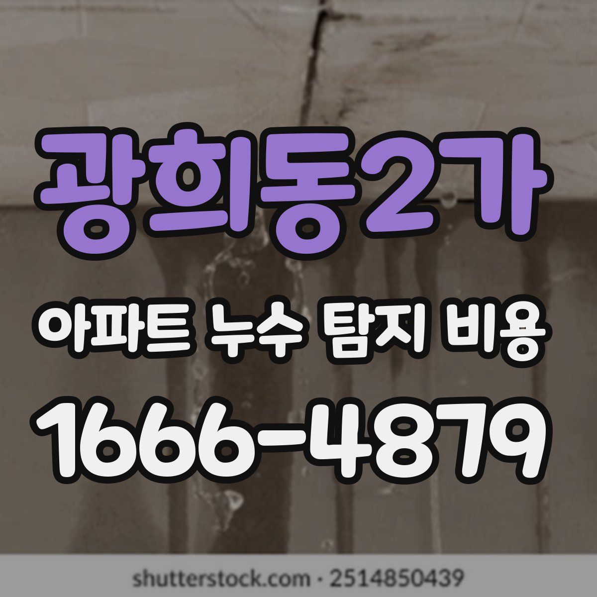 광희동2가 아파트 누수 탐지 비용