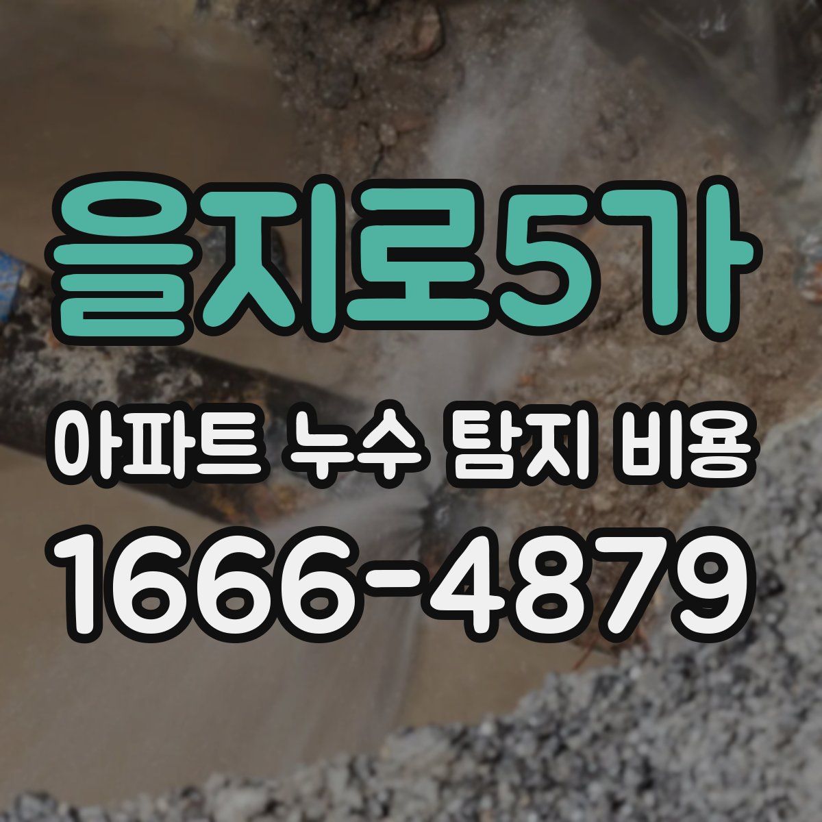 을지로5가 아파트 누수 탐지 비용