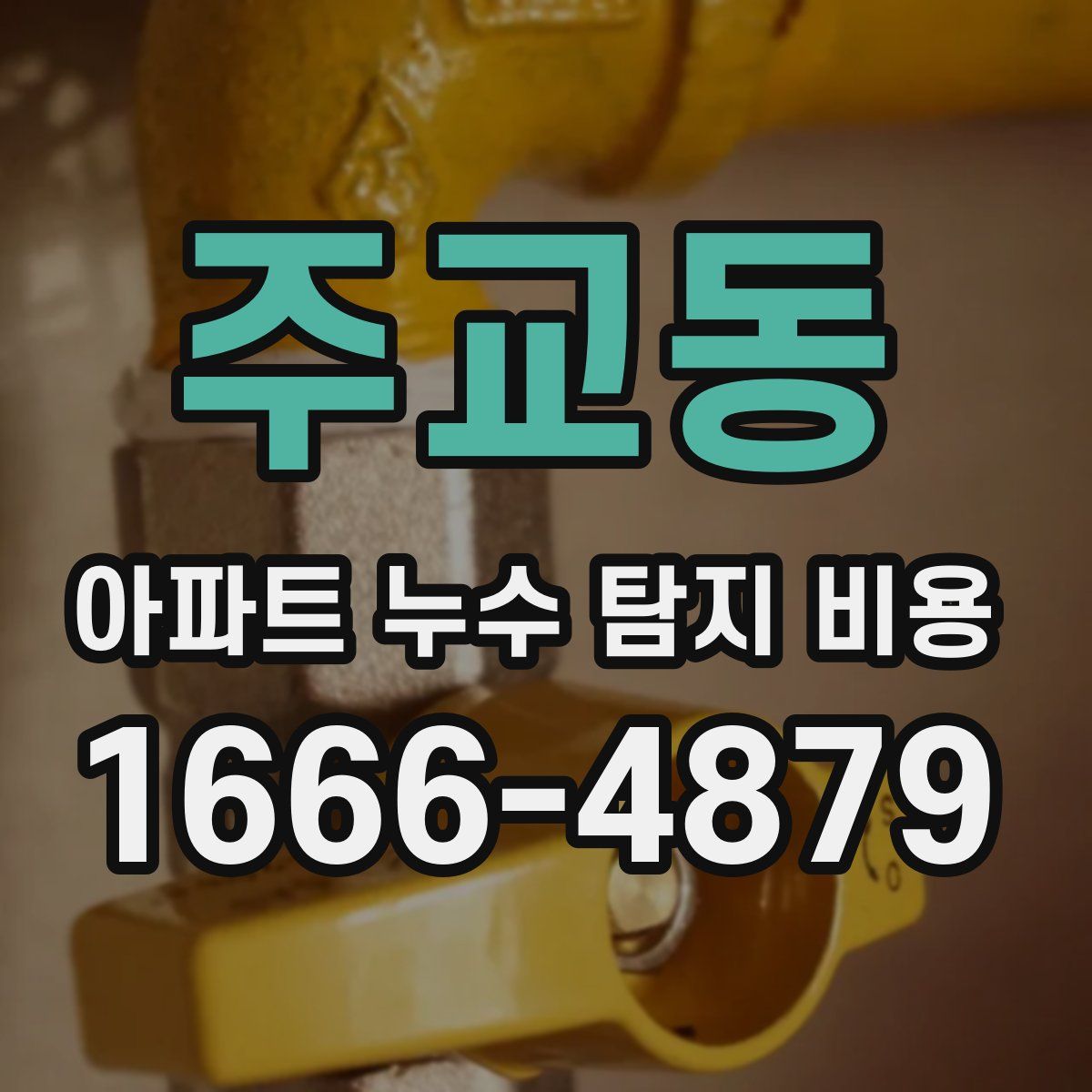 주교동 아파트 누수 탐지 비용