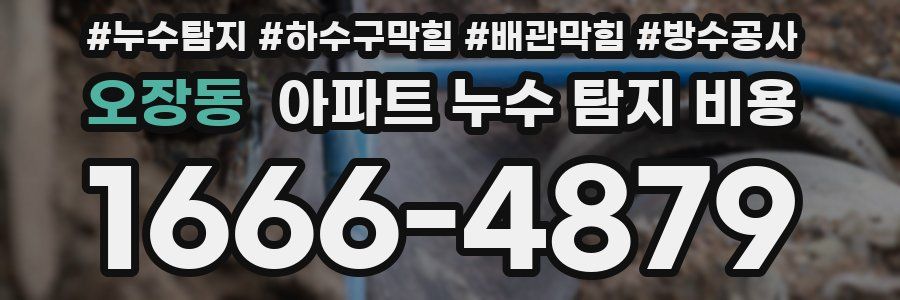 오장동 아파트 누수 탐지 비용