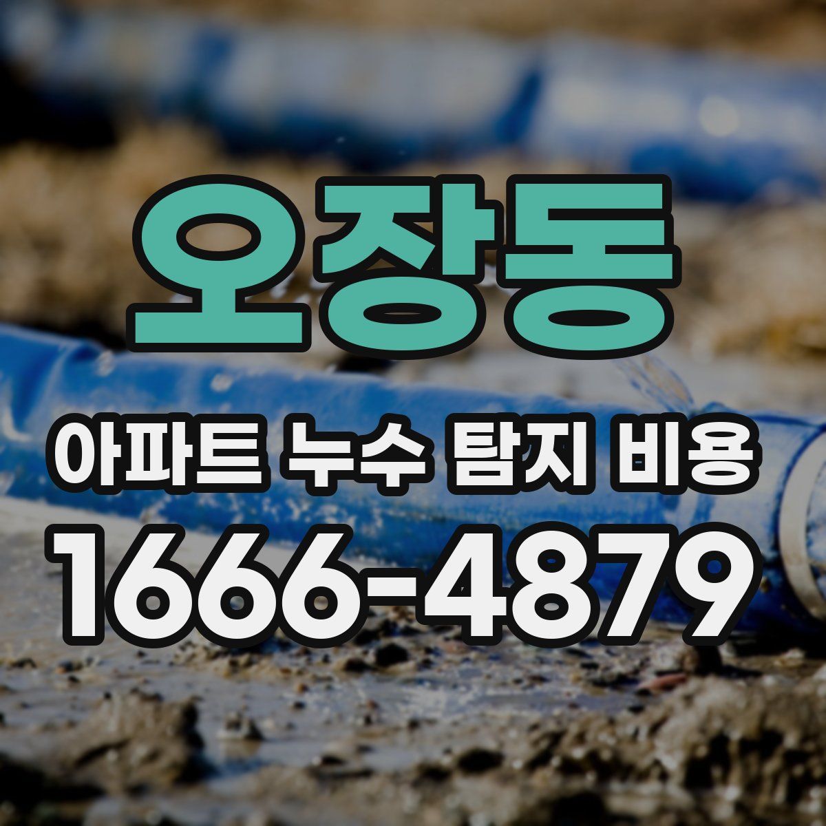 오장동 아파트 누수 탐지 비용