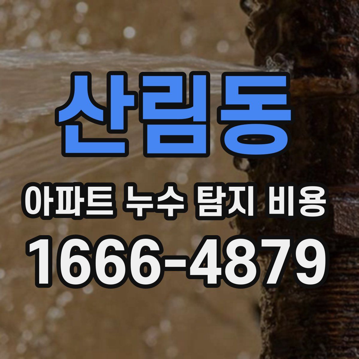 산림동 아파트 누수 탐지 비용