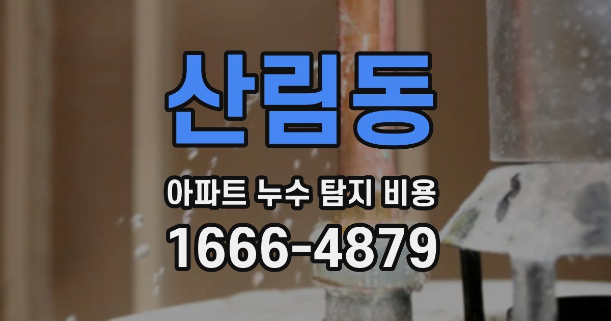 산림동 아파트 누수 탐지 비용