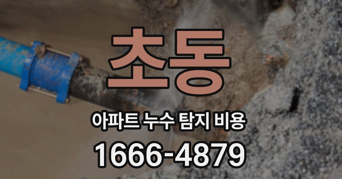 초동 아파트 누수 탐지 비용