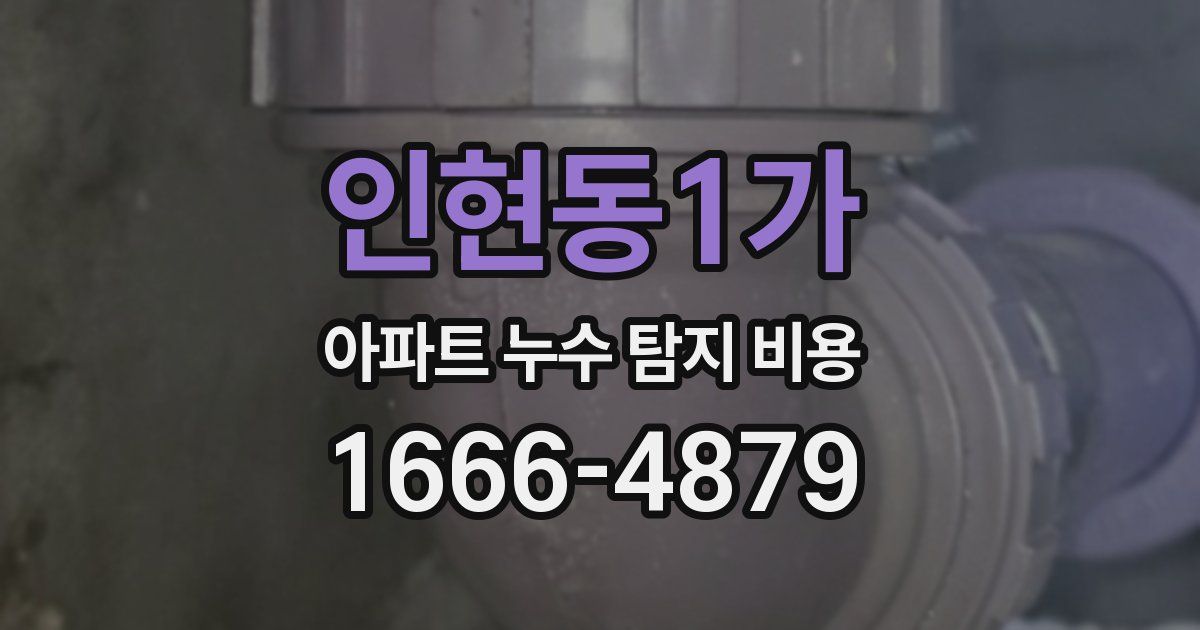 인현동1가 아파트 누수 탐지 비용