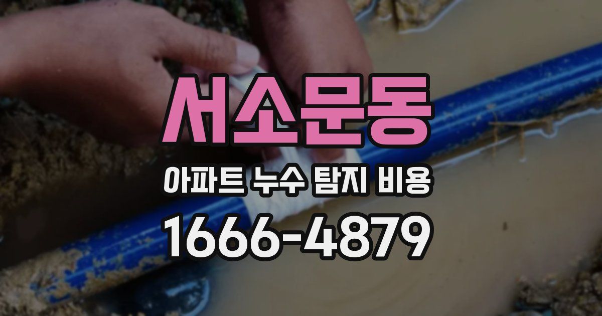 서소문동 아파트 누수 탐지 비용