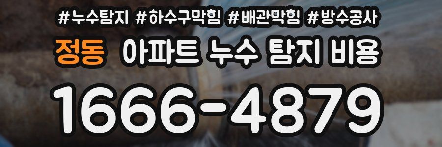 정동 아파트 누수 탐지 비용