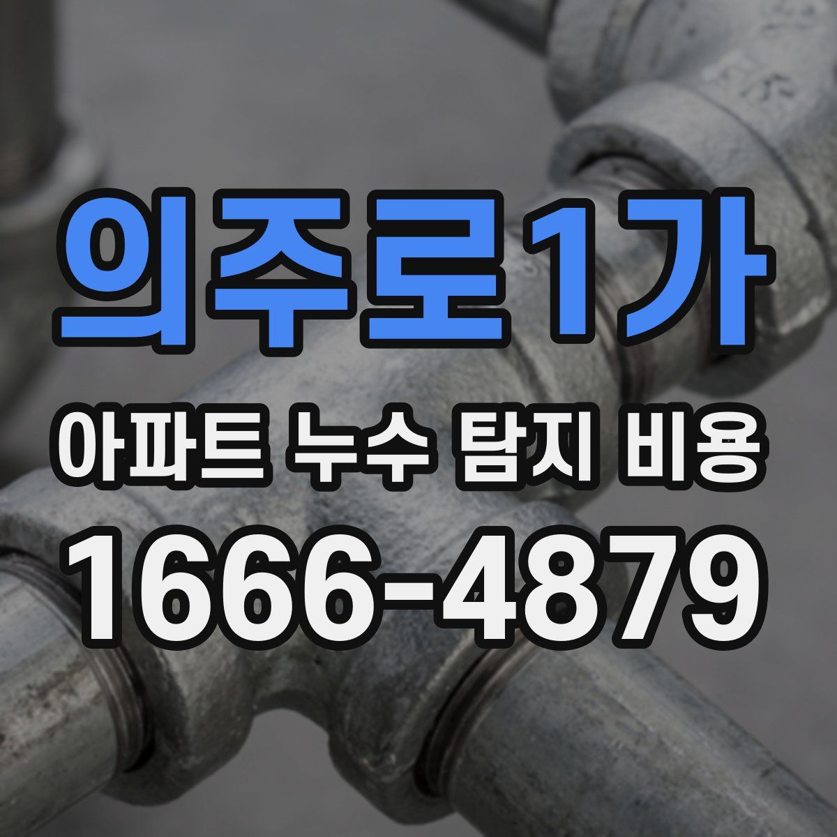 의주로1가 아파트 누수 탐지 비용