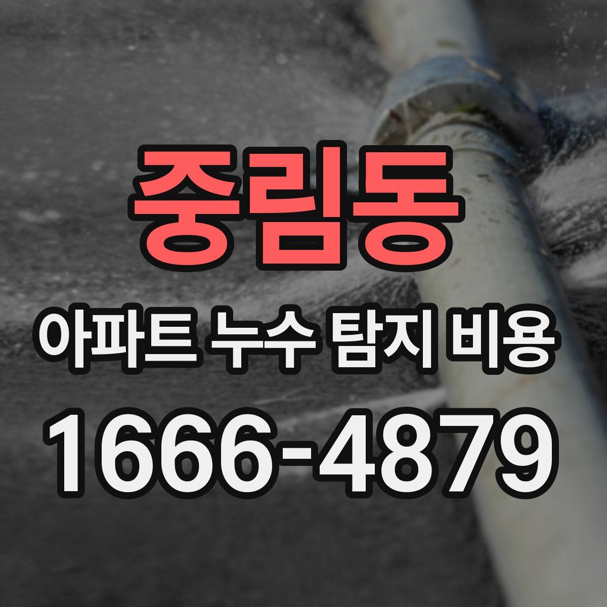 중림동 아파트 누수 탐지 비용
