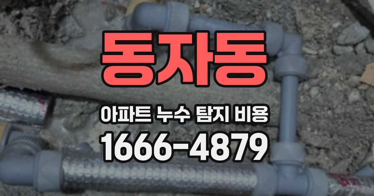 동자동 아파트 누수 탐지 비용