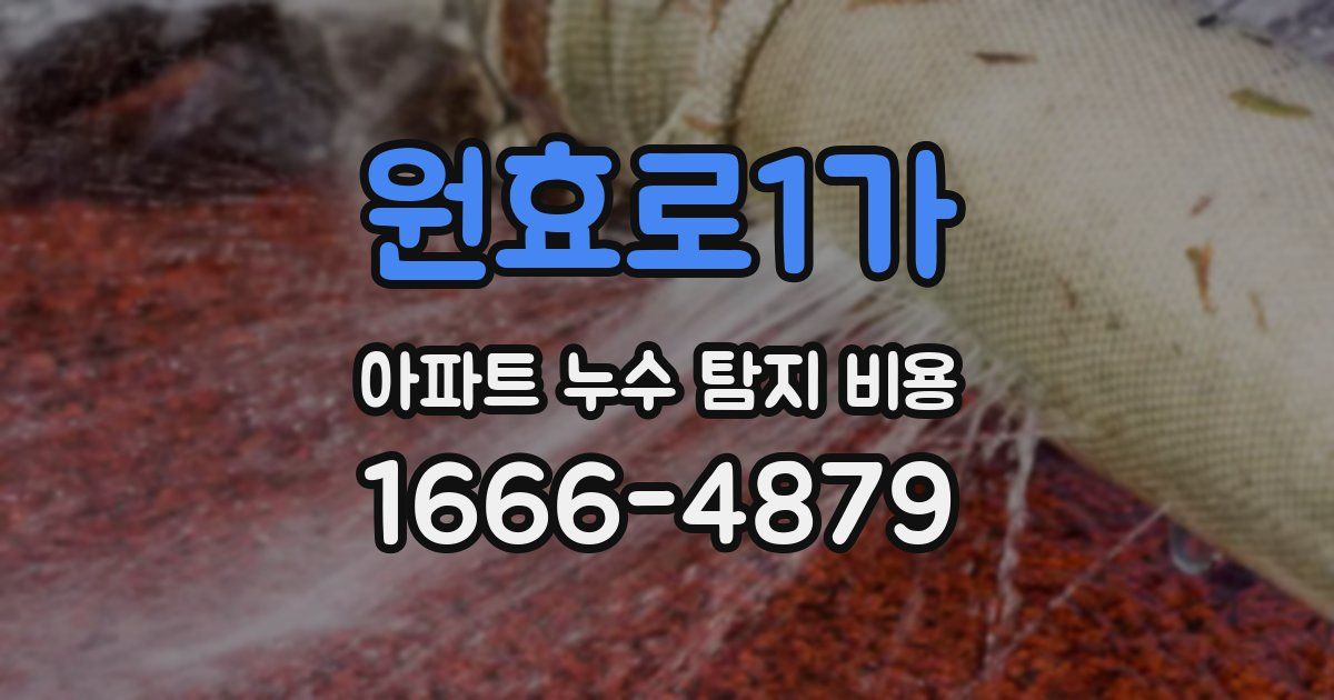 원효로1가 아파트 누수 탐지 비용