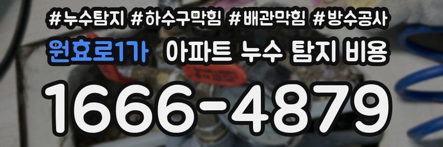 원효로1가 아파트 누수 탐지 비용