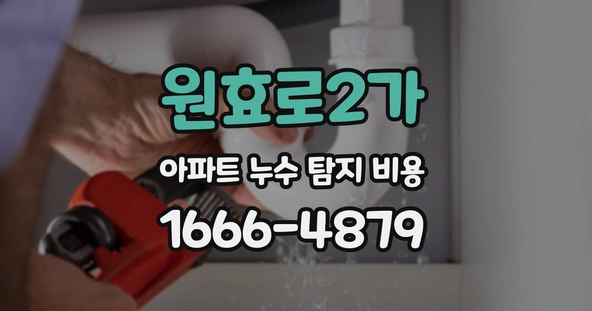 원효로2가 아파트 누수 탐지 비용