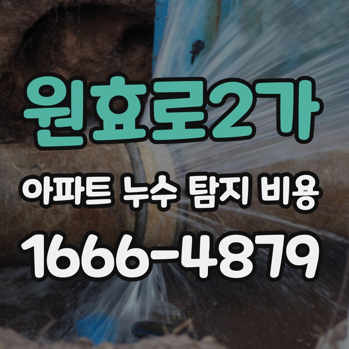 원효로2가 아파트 누수 탐지 비용