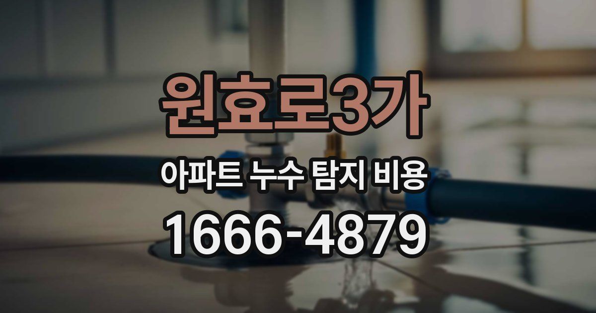 원효로3가 아파트 누수 탐지 비용