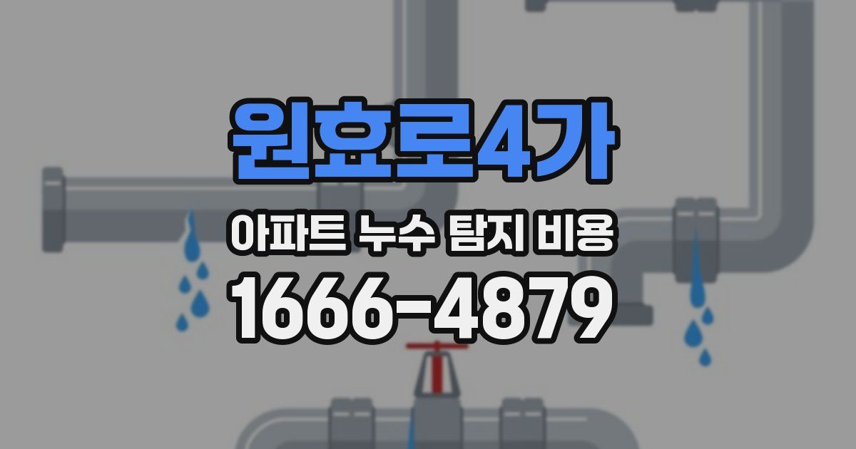 원효로4가 아파트 누수 탐지 비용