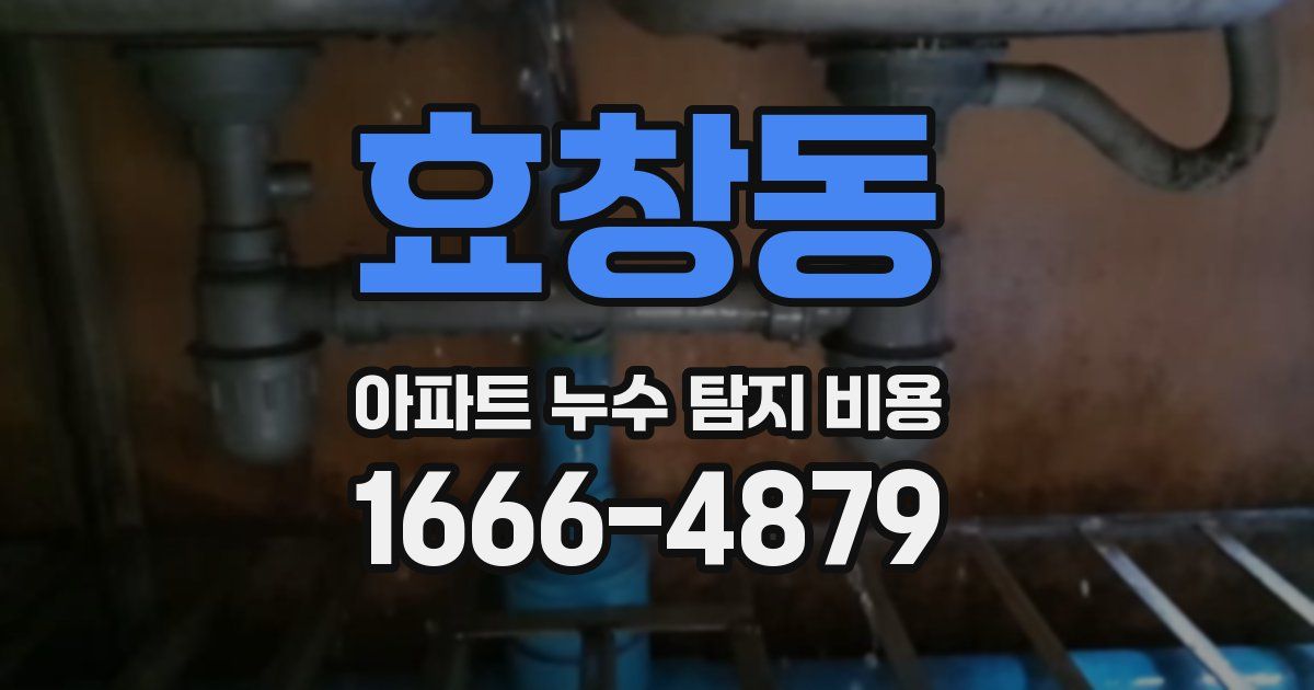 효창동 아파트 누수 탐지 비용