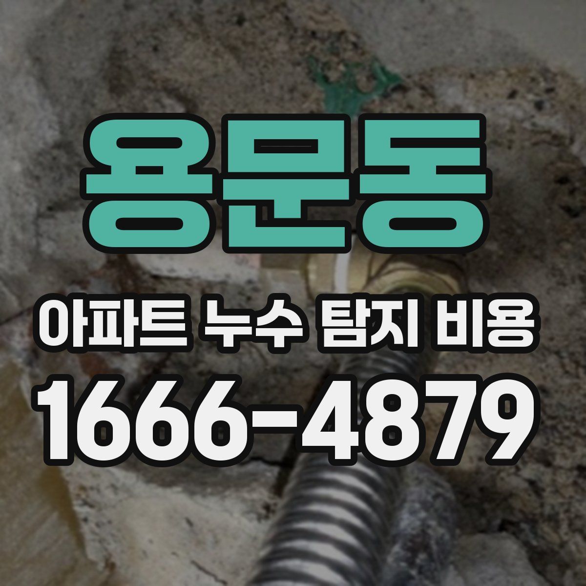 용문동 아파트 누수 탐지 비용
